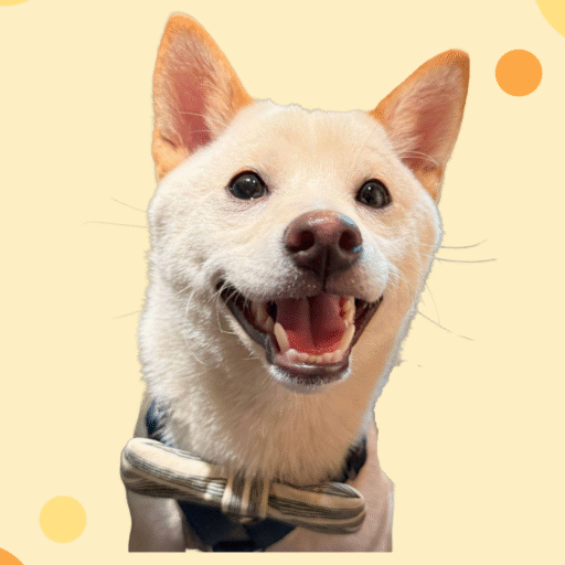 omusubi_shibaのアバター